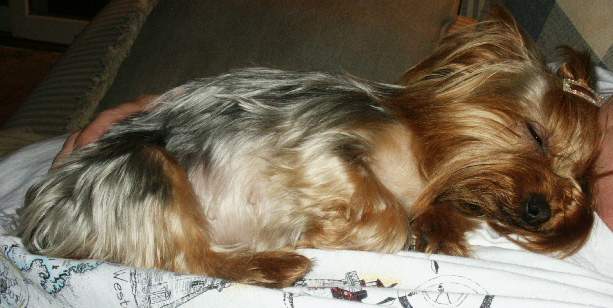 Mommy's Make The Best Beds!!!