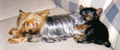 Baby Prissy & Mommy Ariel Snuggling on the Couch